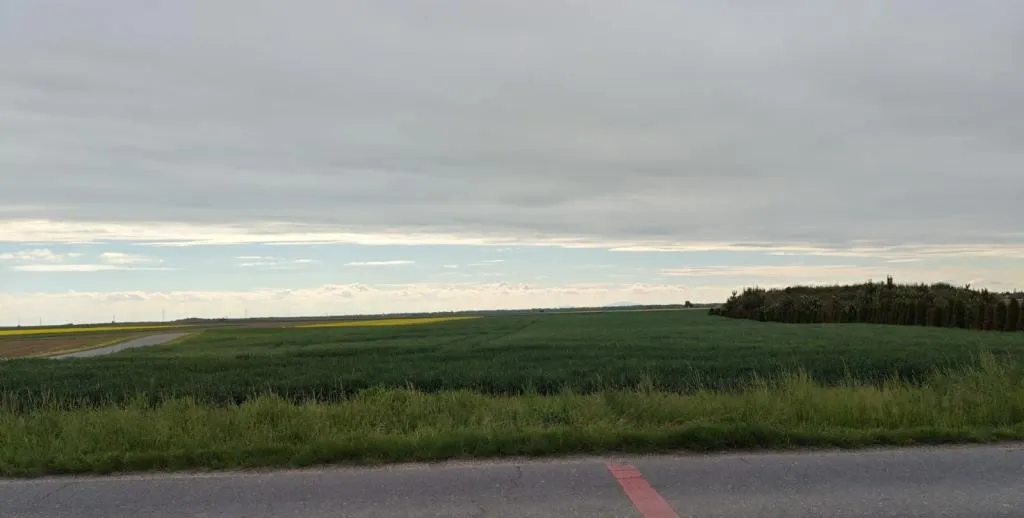 Działka budowlana 42 ary, Chwalibożyce – asfalt, media – Chwalibożyce, gm. Oława – zdjęcie 1